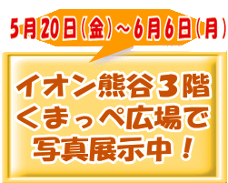 ５月２２日～６月８日まで 