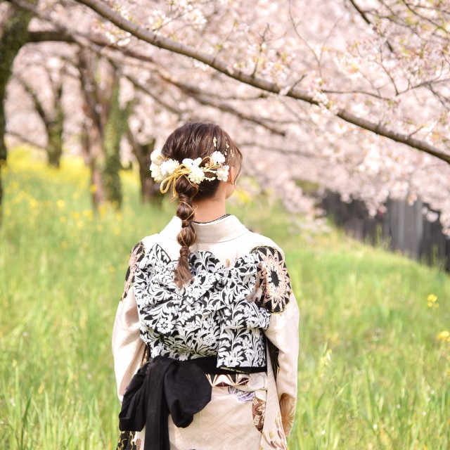 桜　ロケフォト　成人式